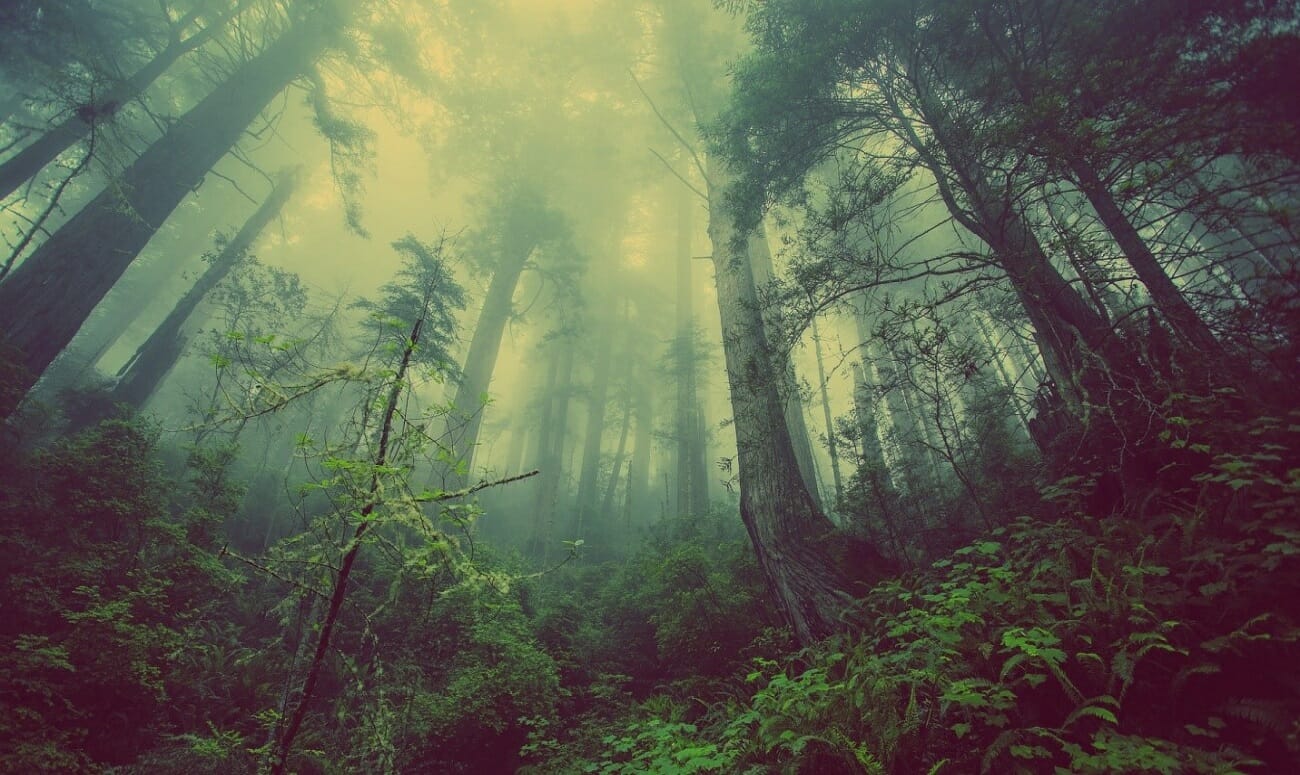 ways humans interact with the environment
