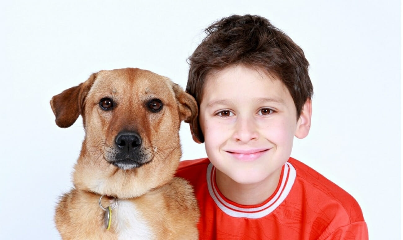 Dog Euthanization Statistics Fall Drastically In Texas: All Thanks to Roman