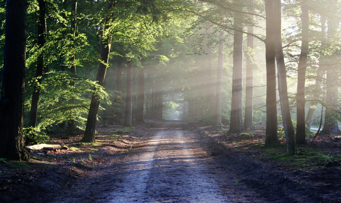 Why you should spend time in nature?