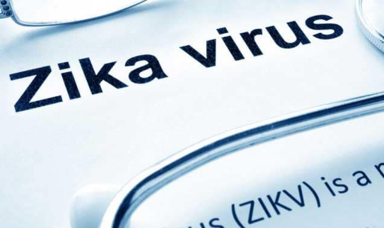 IIT SCIENTIST DECIPHERS THE ZIKA VIRUS