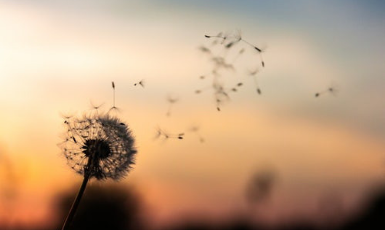 HOW CAN POSITIVE AFFIRMATIONS CHANGE YOUR LIFE?