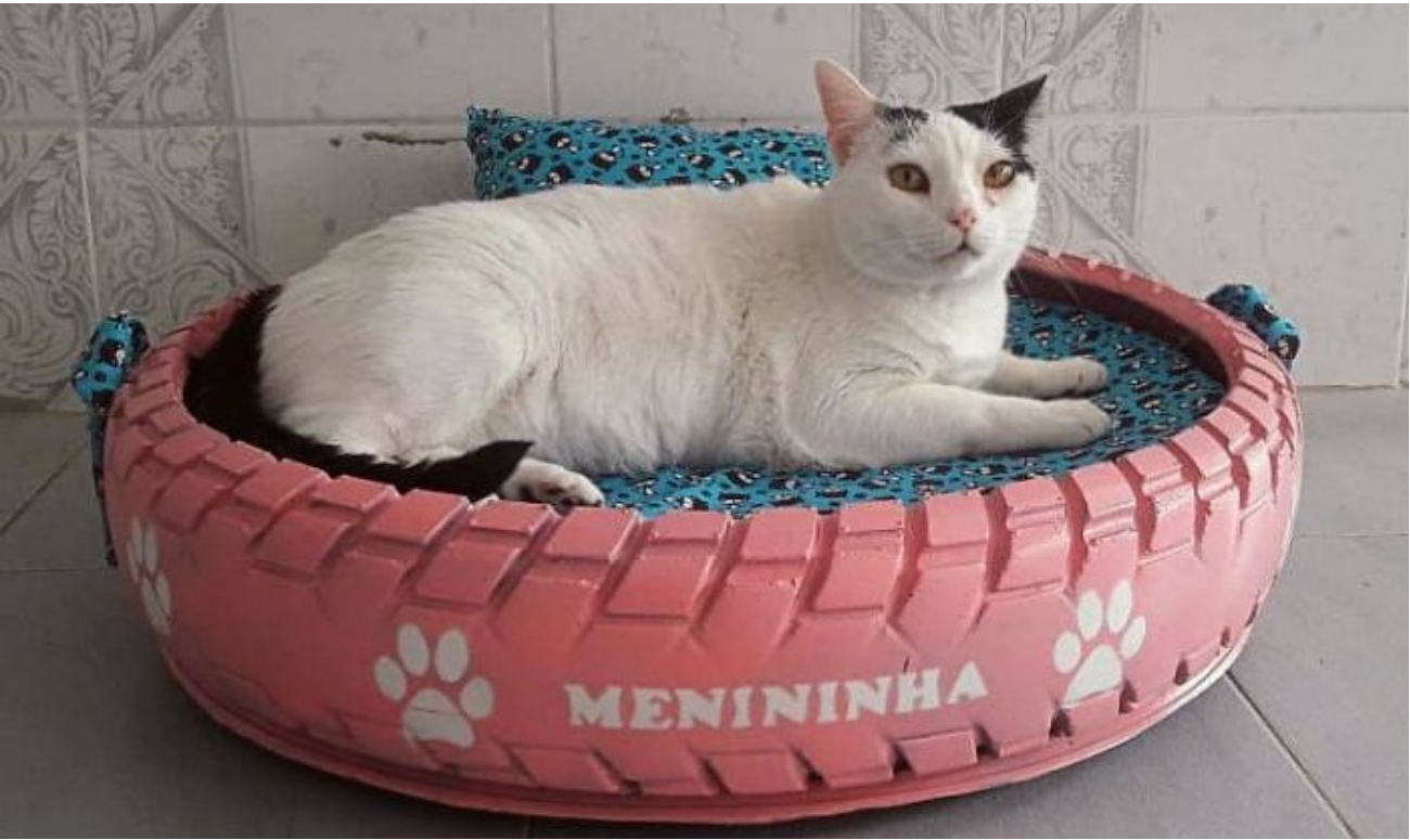 Animal Beds From Used Tires Caring for The Nature And Fauna