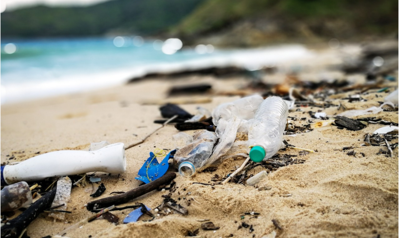 Clean Up The Beaches - One At A Time!