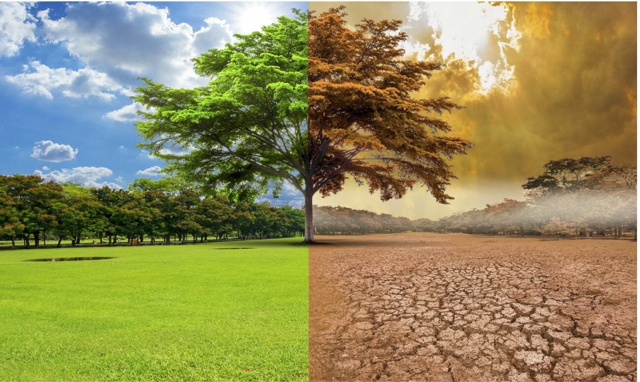 India Cooling Action Plan - A Step Against Global Warming