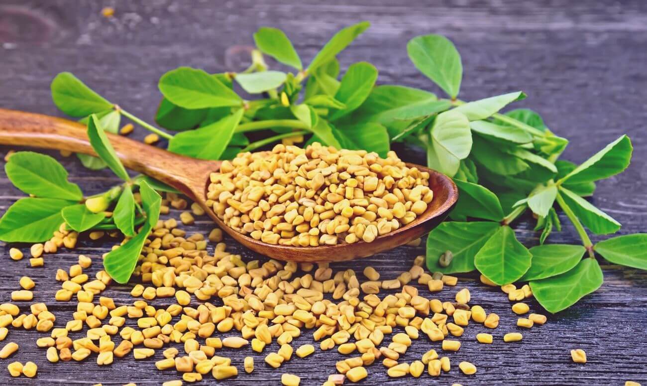 Fenugreek – An Underrated Herb With Impressive Benefits