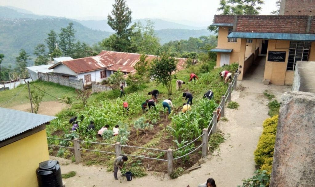  ऑर्गेनिक खेती से किया मिड डे मिल की व्यवस्था 2