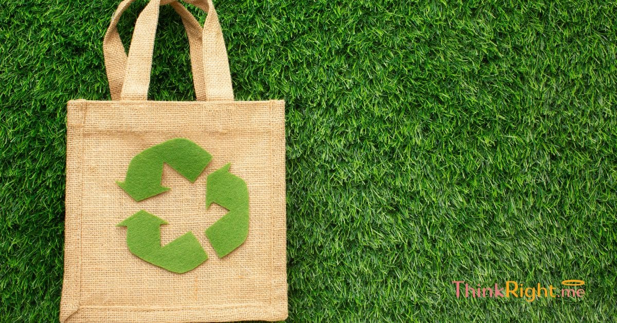 5 Plastic Bag Options For You To Strive Out